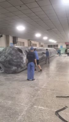 Воздушные подушки для запуска судов 1,0-35 м Длина одно/двойная рука 10-1000 тонн Весовая вместимость для судостроения